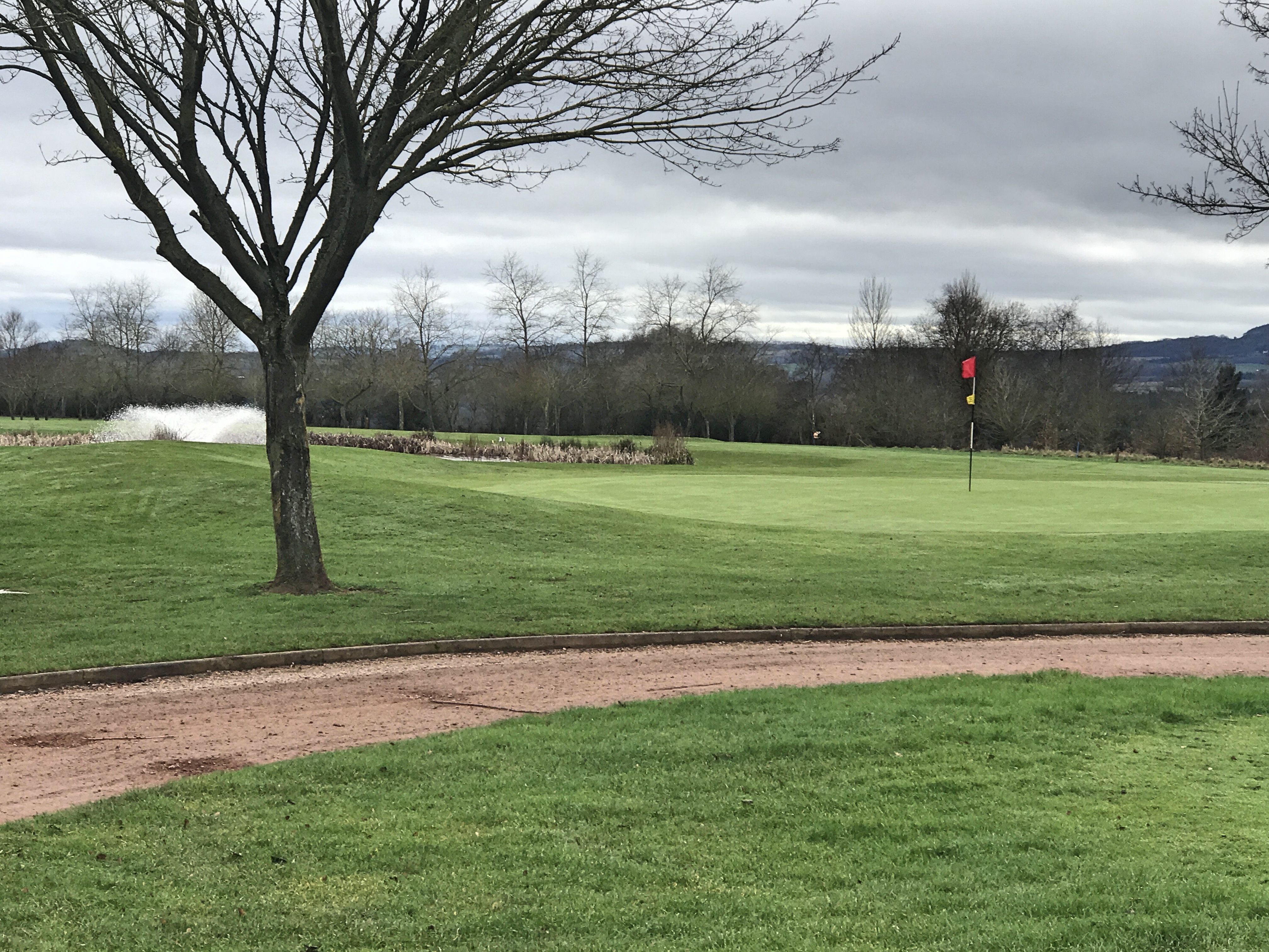Golf