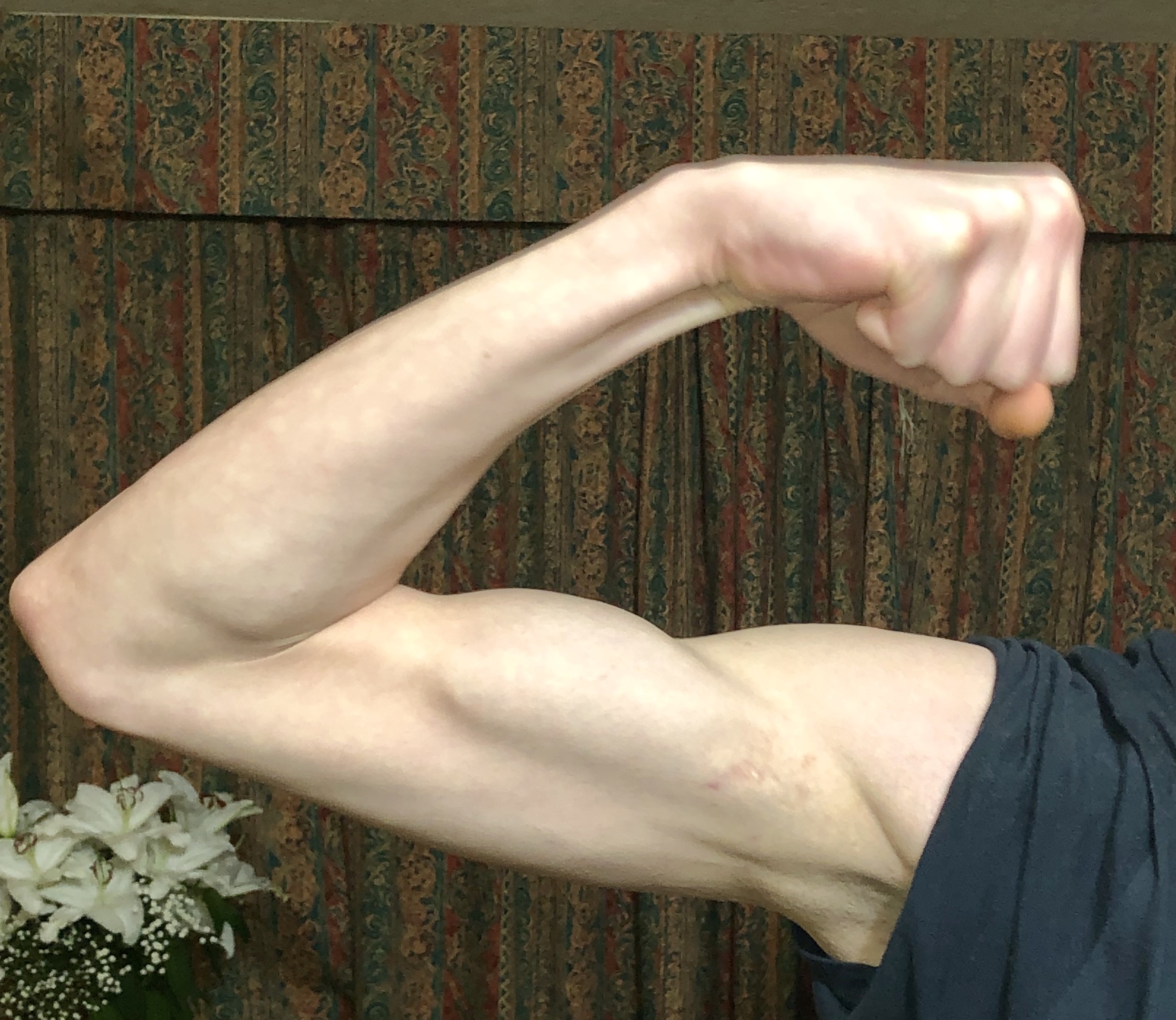 As Strong As An OX