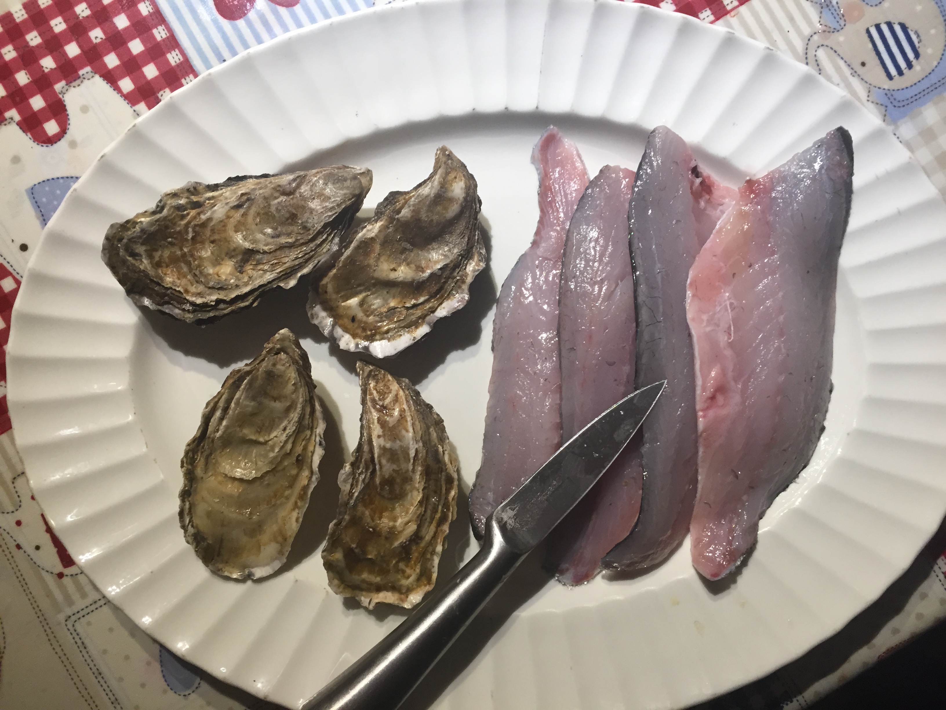 Oysters