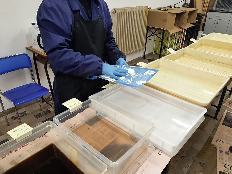 Artisti Oltre L’Accademia - Piave Printmakers — fotografia dello spazio 4