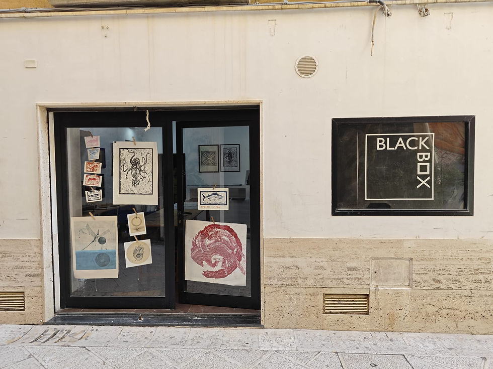 BlackBox8 - Blackbox.jpeg