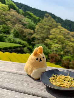 ぽてち
