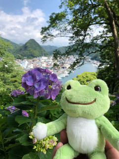 ケロちゃん