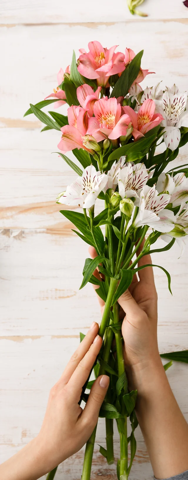 blumen schneitler ihr schonstes blumengeschaft