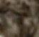 LIGHT ASH BROWN PLATINUM BLONDE .jpg