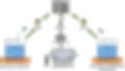 nature sensors1.jpg