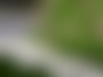 DreamzAR App - DIY Landscape Design App with AR, is now available to download for free 