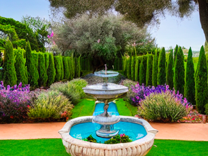 How to Create a Beautiful and Drought-Tolerant Mediterranean Garden in Your Backyard (2024)