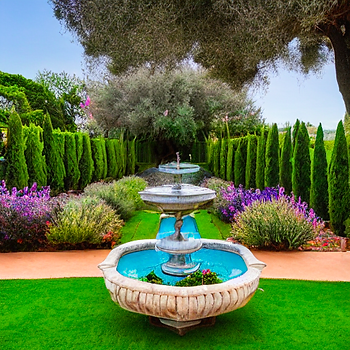 A vibrant garden with symmetrical rows of neatly trimmed