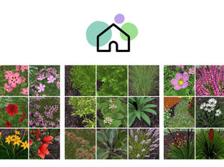 Have you tried the latest DreamzAR app? We promise it's better than ever!