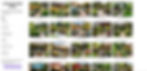 DreamzAR AI Designs Gallery - Hundreds of inspiring landscape designs