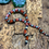 Thumbnail: Orange Milksnake Snake (Lampropeltis.t. cambelli X nelsoni)