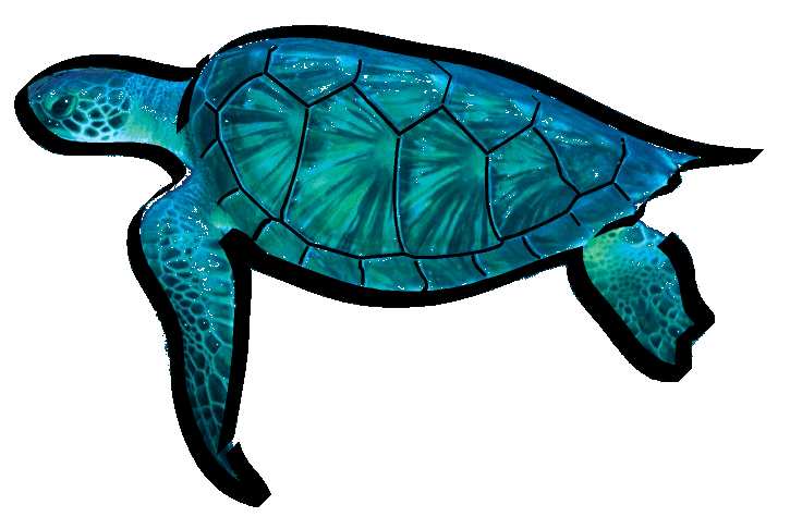 TL Coastal Construction