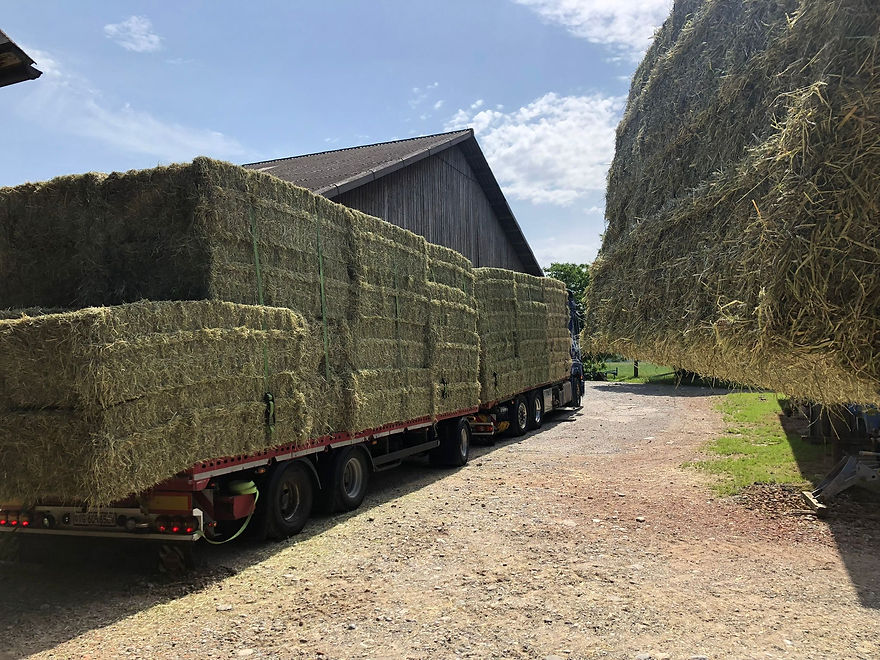 Bild für Handelswaren und Agrarbedarf  von Ruchti Agrarservice