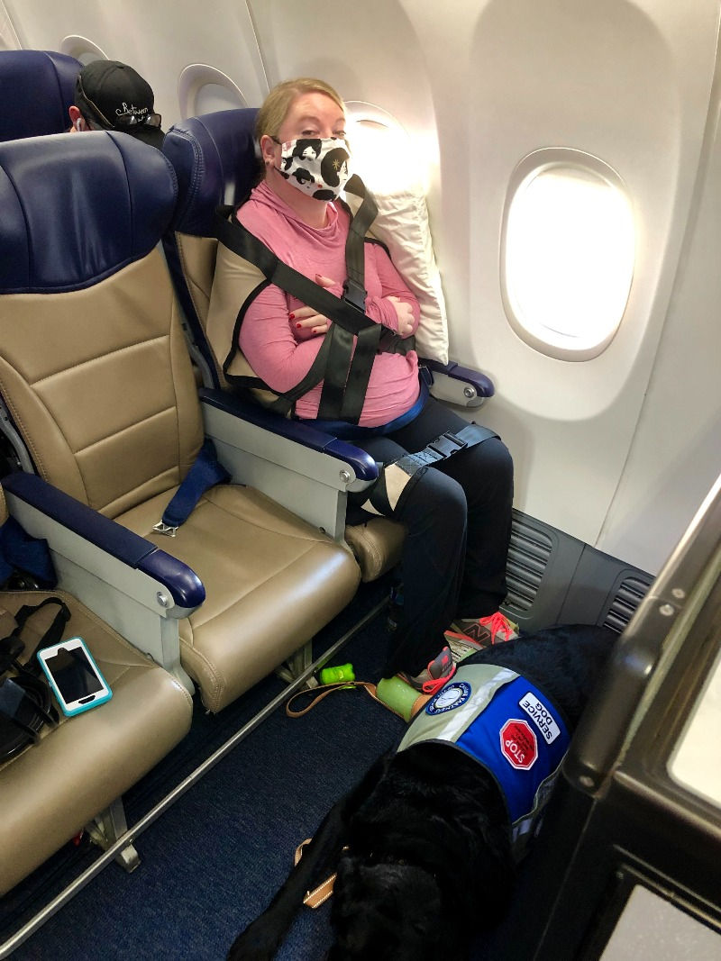 EB Forst wearing a face mask secured onto a seat on an airplane with several straps. Her service dog lies at her feet.