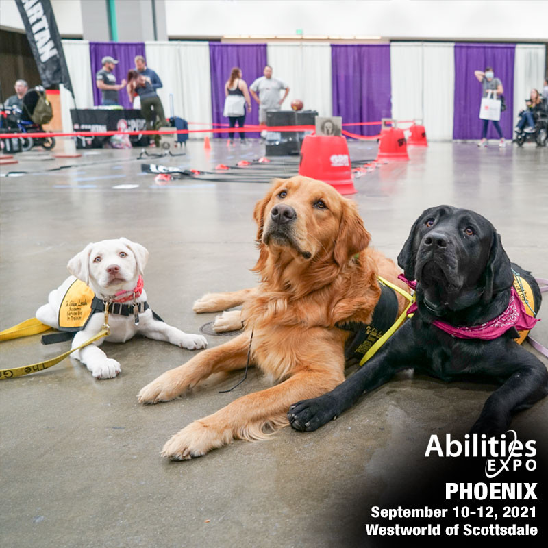 Three service dogs (a small white dog, a golden retriever, and a chocolate lab) lie on a cement floor inside a convention center and look upwards.