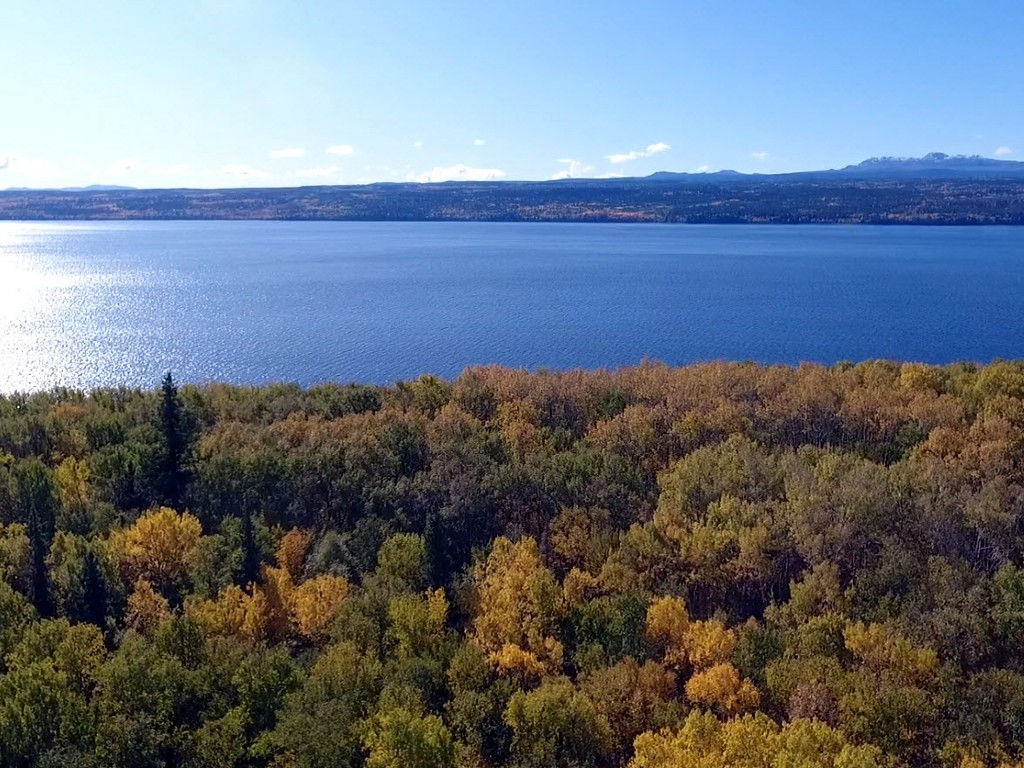 Lot 9 Baynes Island Stuart Lake