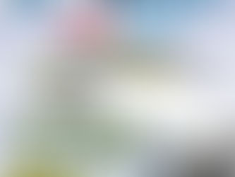 [해시게임 추천코드 333AG] 토큰게임 | 그래프게임 | 라이브홀덤 | 무한추가 10% | 좋은 건 좀 나눕시다~