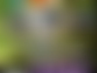 [COOLBET] 쿨벳 토지노 | 신규첫충 30% 혹은 3+2/5+3/10+5 | 낙첨시 다시한번더 입플이벤트 | 신규페이백 15% | 그래프게임 | 골드템(배당업/환불/적특) 발