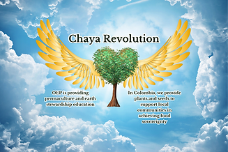 I REMAIN SILENT NO SEARCHES I WANT MY LAWYER (5).png