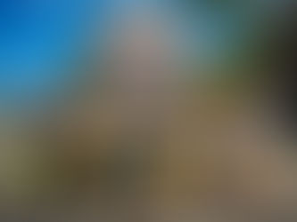 Elevate Your Career with Development Opportunities