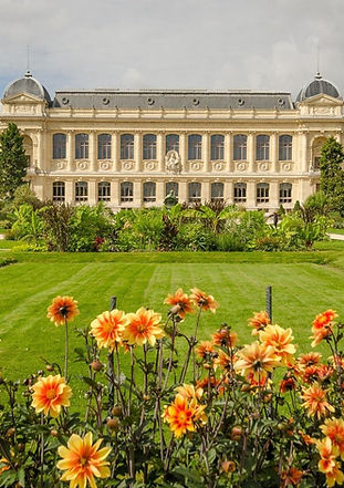 Museum of Natural History Paris.jpg