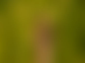 Quality Meets Sustainability: A Synergistic Approach for Business Success