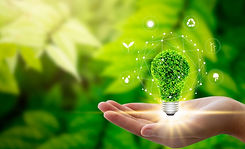 bigstock-Hand-Holding-Light-Bulb-Agains-