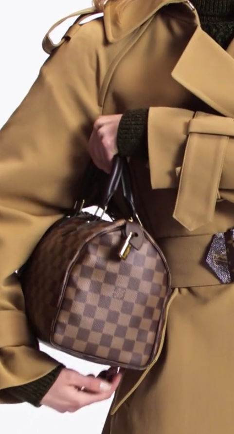 Thumbnail: LV Speedy 25