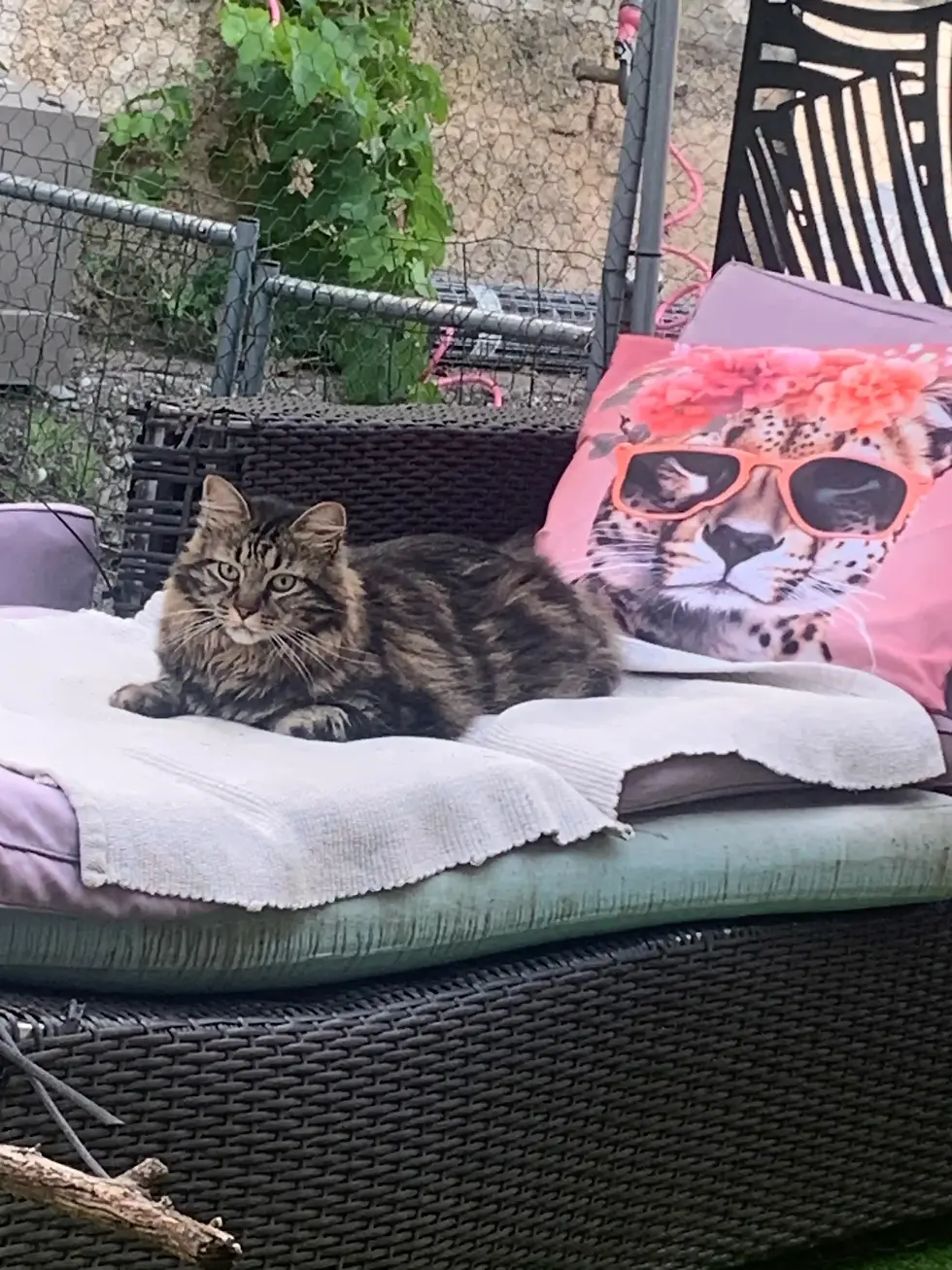Pepito