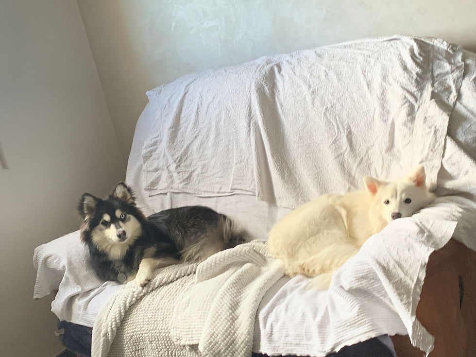 Maya & Volt