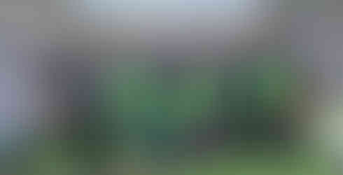 บริษัท เนเจอร์ เวนเจอร์ งานวันดินโลก 2568