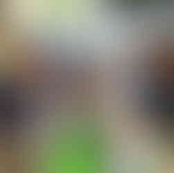 บริษัท เนเจอร์ เวนเจอร์ งานวันดินโลก 2568