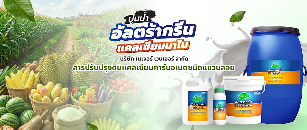 Green Creative World Environtment Day Facebook Cover (3).png