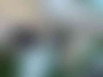 บริษัท เนเจอร์ เวนเจอร์ งานวันดินโลก 2568