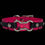 Thumbnail: The Pup Collar - Paw & Bones