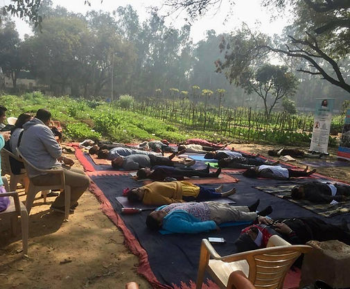 Yoga & Meditation Session