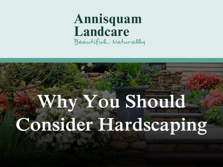 Why You Should Consider Hardscaping