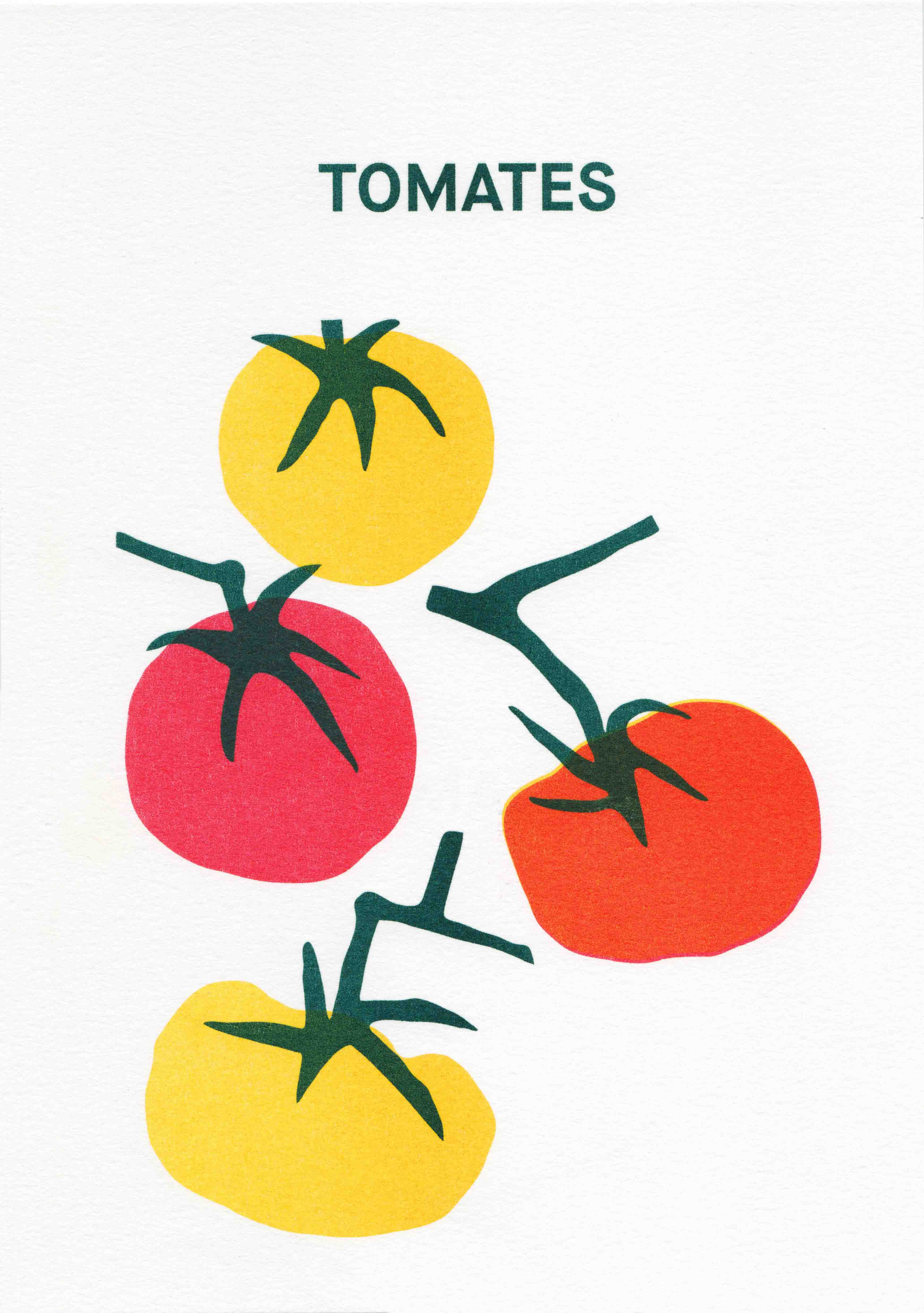 Tomates Risoprint - DIN A5