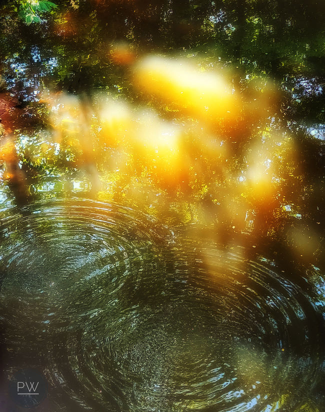 Highland Park New Jersey NJ Garden State Fine Art Photo Walk Nature Photograph Photography Photographer Art Gallery Museum Nature Landscape Environment Healing Lament Art Heals Sacred Beautiful Spiritual Beauty Meditation Blessing