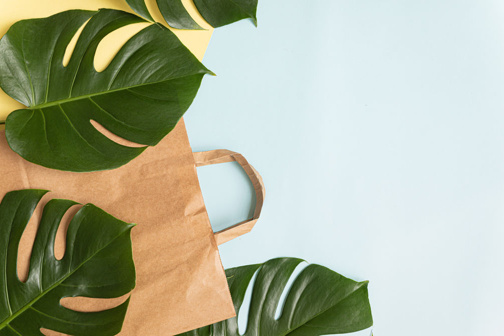 flat-lay-shopping-concept-with-paper-bag-tropical-leaves.jpg