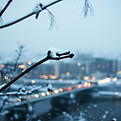 Cold_Winter_City_Evening-Photo_HDR_Wallpaper_1366x768.jpg