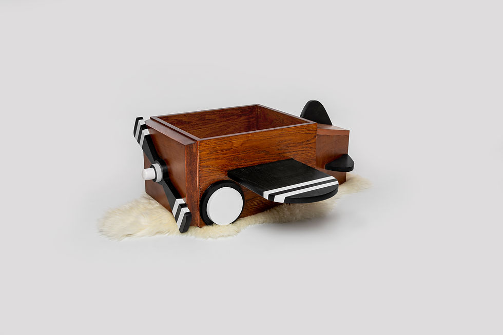 Thumbnail: Wooden Airplane Photography Prop