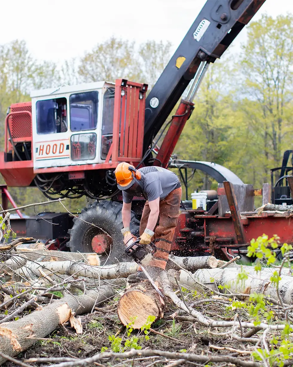 Thumbnail: The Vermonter Work Glove
