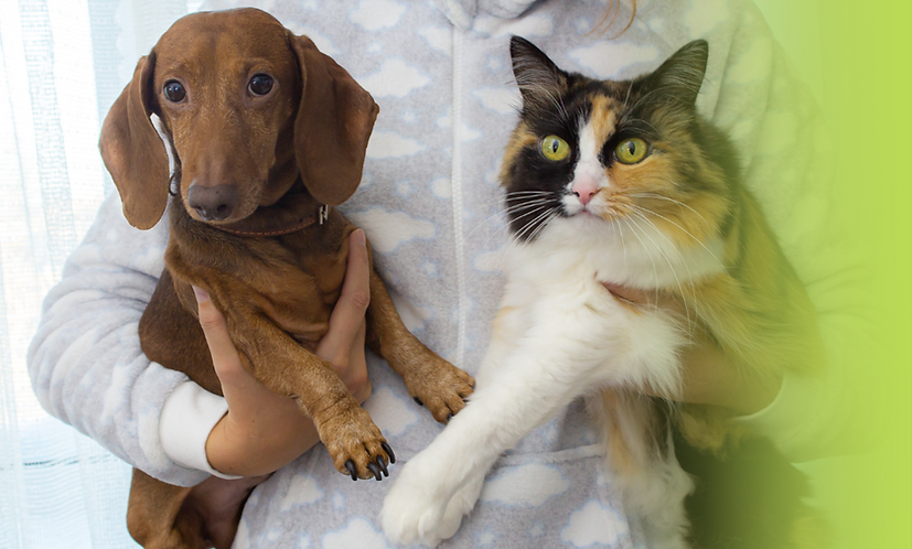 Adicione um texto curto descrevendo a imagem (certifique-se de não incluir o formato da imagem, como .png)