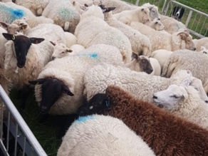 June - and it's raining!