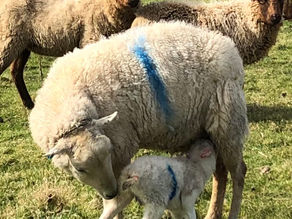 July 2020, beyond the pandemic...