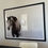 Thumbnail: Extra Large Framed Black and White Fine Art Photo of Pensive Horse in Weather