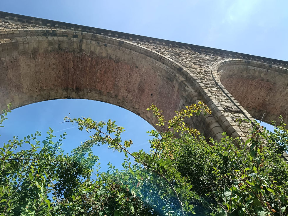 A photo Ffion took on a recent walk at Ty Mawr, Wrexham