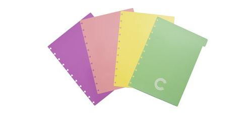 Cad.Inteligente Divisórias Pastel Grande